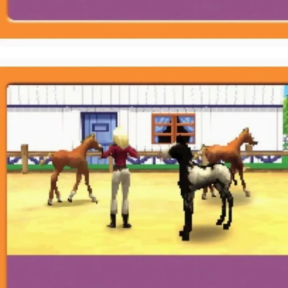 NINTENDO DS Petz Horsez